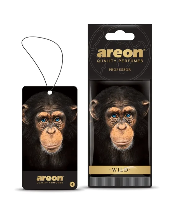 AREON WILD - Professor